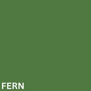 FERN
