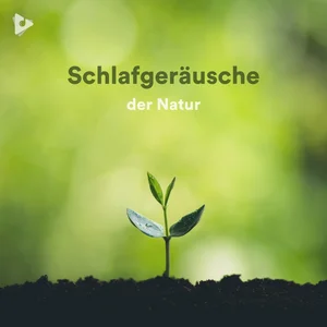 Schlafgeräusche der Natur
