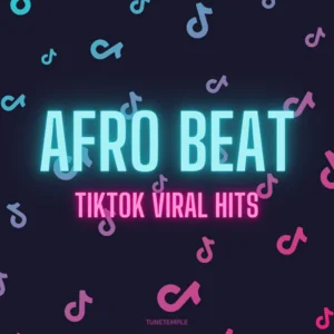 AFROBEAT TIKTOK VIRAL HITS 🔥 playlist cover