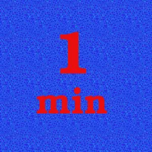 101 One Minute Songs