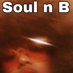 Soul n B Spotify playlist cover art