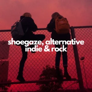 shoegaze, alternative ind Hyperpop Playlist Submission