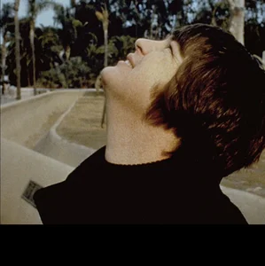 Imagem de Brian Wilson