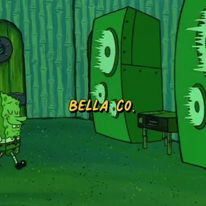 BELLA Co. playlist cover