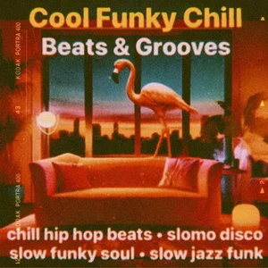 Cool Funky Chill Beats | Sexy Funky Soul Beats | Hip Hop Instrumentals | Jazzy Beats | Slow Disco playlist cover