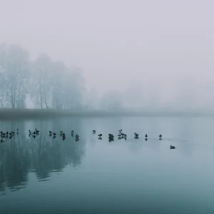 Calming Down Winter Playlist Submission