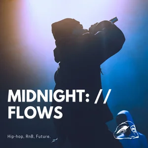 Midnight Flows playlist cover