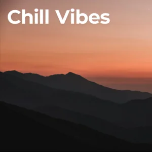 Chill Vibes 2026 ✨ Spotify playlist cover art