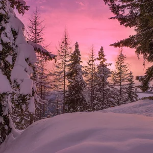 Chanson Douce ❄️ Ambiance Chill Hiver playlist cover