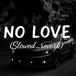 Cover art for No Love Shubh Playlist on Spotify: No Love - Shubh [Slowed + Reverb]