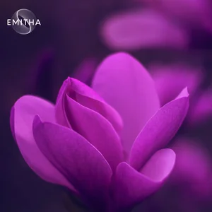 Peaceful Meditation playlist cover