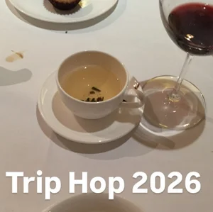 Trip Hop 2026 : Best New Music 2026 playlist cover