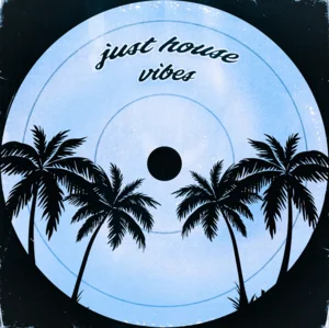 Just House Vibes...