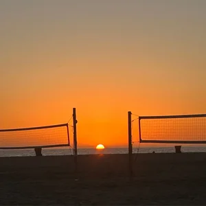 beach songs for this summer  ☀️ playlist cover