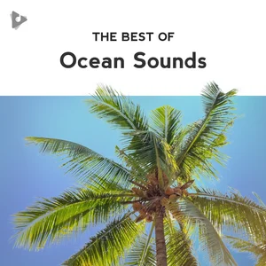 The Best of Ocean Sounds