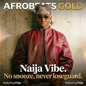 AFROBEATS 2026 🌍 Naija Hits (Go Hard & Vibe) Spotify playlist cover art
