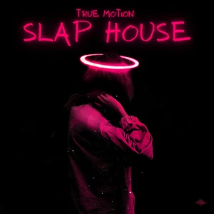 SLAP HOUSE 2025 🔥Best of Slap House, Deep House and EDM Spotify playlist cover art
