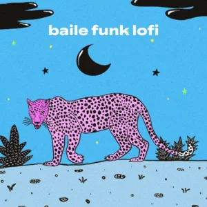 baile funk lofi 🌿🇧🇷
