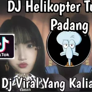DJ HELIKOPTER TURUN KE PADANG VIRAL TIKTOK | DJ IDOL IDOL REMIX VIRAL TIKTOK TERBARU 2026 ! playlist cover