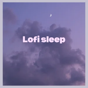 Uyurken dinlemelik 💤 | chill lofi sleep relax beats Spotify playlist cover art