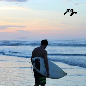 Instrumental Surf Music 🌊 