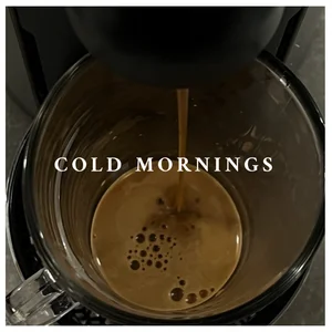 COLD MORNINGS Spotify playlist cover art