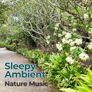 Sleepy Ambient Nature Music Spotify playlist cover art