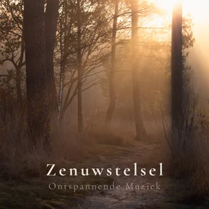 Zenuwstelsel Ontspannende Muziek🧠 Spotify playlist cover art