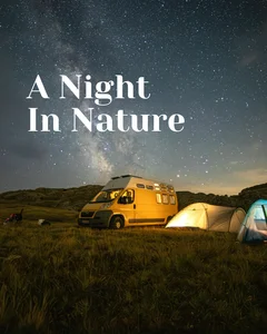 A Night in Nature Spotify playlist cover art