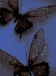 Evening Star Spotify playlist cover art