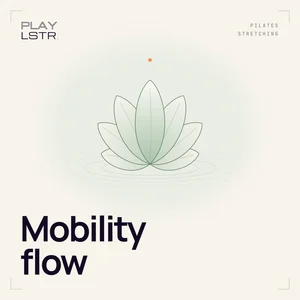 ༻ Mobility flow ༺ Spotify playlist cover art