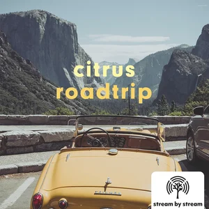 🌱Citrus Roadtrip cover