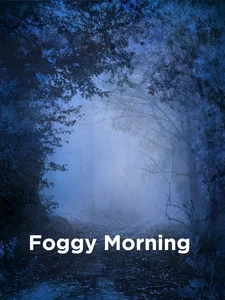 Foggy Morning Spotify playlist cover art