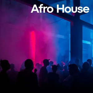 AFRO HOUSE / MELODIC TECH VIBES‼ Spotify playlist cover art