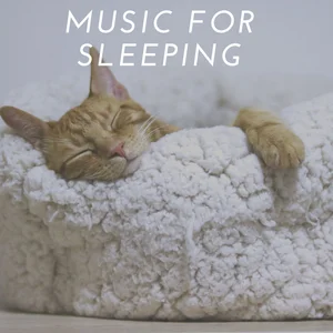 #4. Piano Music for Sleeping Neo Piano Playlist Spotify