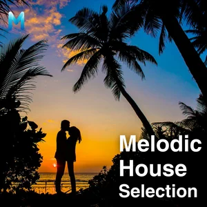 Melodic House Selection Spotify playlist cover art