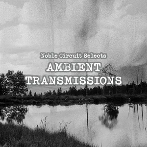 Ambient Transmissions cover