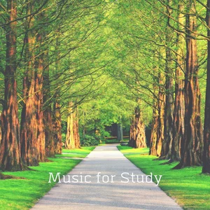 Music for Study Spotify playlist cover art