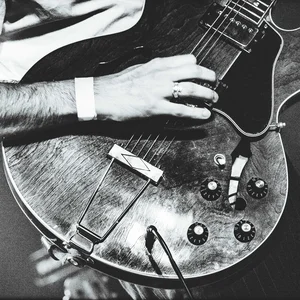 Folk Rock Revival