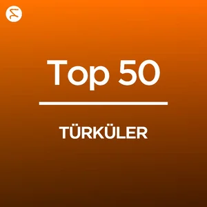 Türküler En İyi 50 playlist cover