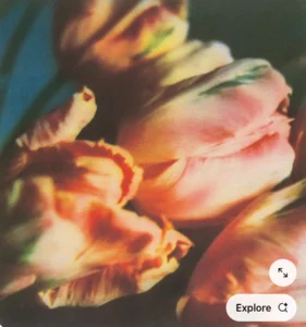 Flowers Spotify playlist cover art