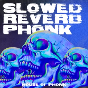 SLOWED + REVERB PHONK 💀 Slow Reverbed Brazilian Phonk 🇧🇷 Super Slowed Bassboosted playlist cover
