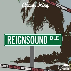 Reignsound (Deluxe Editon) Spotify playlist cover art