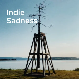 Indie Sadness