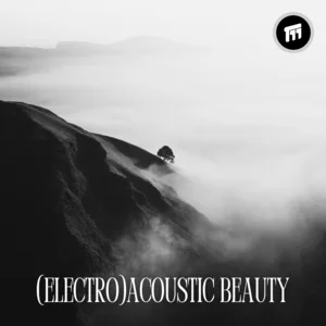 (electro)acoustic beauty. Spotify playlist cover art