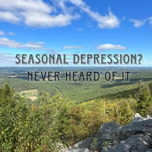Seasonal Depression? Never Heard Of It playlist cover