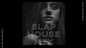 Slap House Mix 2026 Spotify playlist cover art