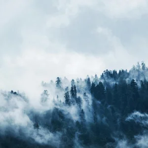 Post-Rock & Post-Metal Spotify playlist cover art