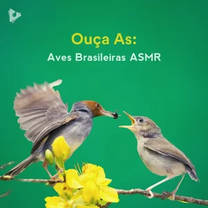 Ouça As: Aves Brasileiras ASMR
