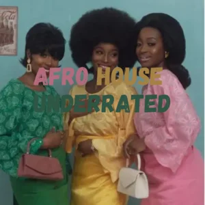 Afro House Underrated Spotify playlist cover art